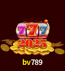 Casino VIP bv789